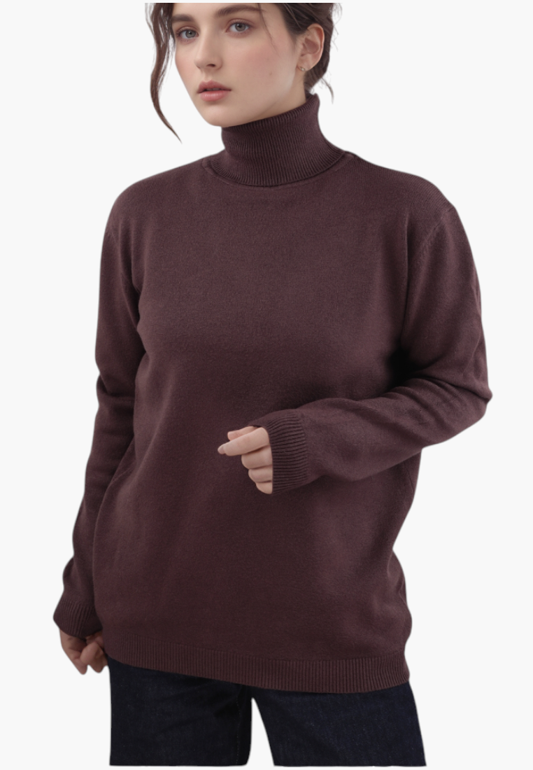 Falio brown wool sweater with a mock neck worn by a woman, featuring a classic fit and long sleeves.