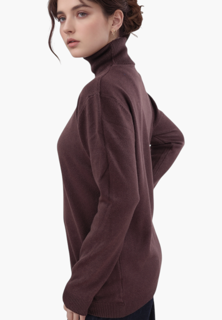 Falio brown wool turtleneck sweater worn by a woman, side view, featuring a classic fit and long sleeves.