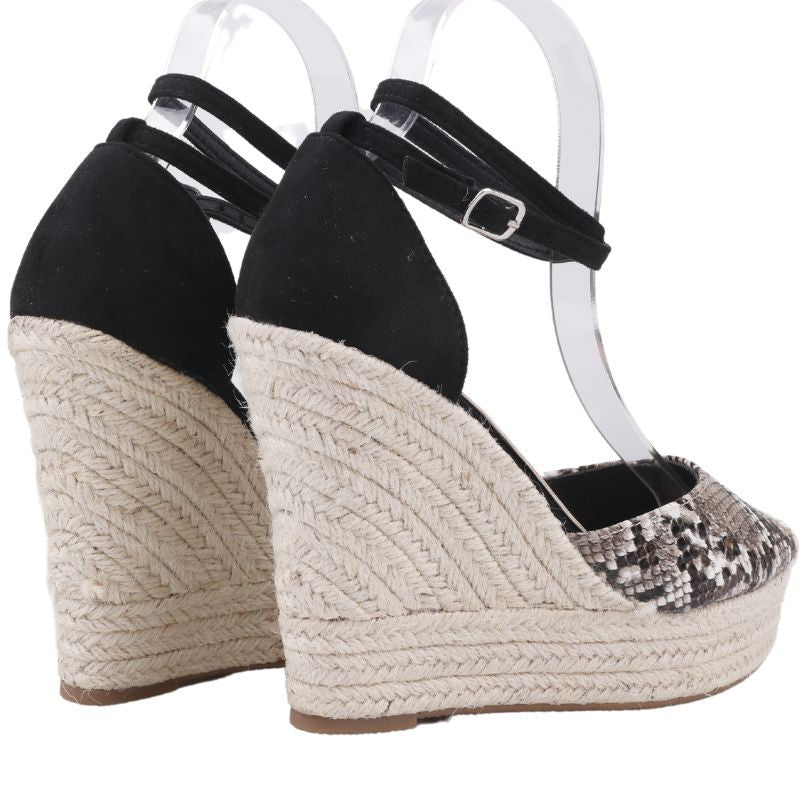 10509bd8d4f49a5b75182a350e5cde26