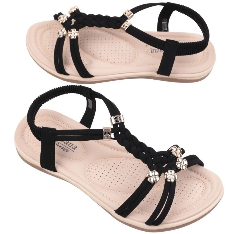 1e242afb8122ff23d397f3041e1e0509