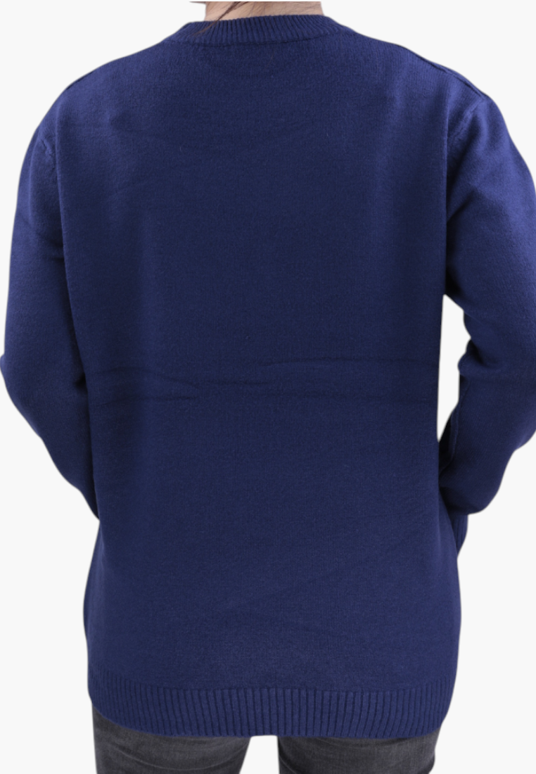 Falio blue wool and cashmere blend women's sweater with long sleeves and round neckline, back view
