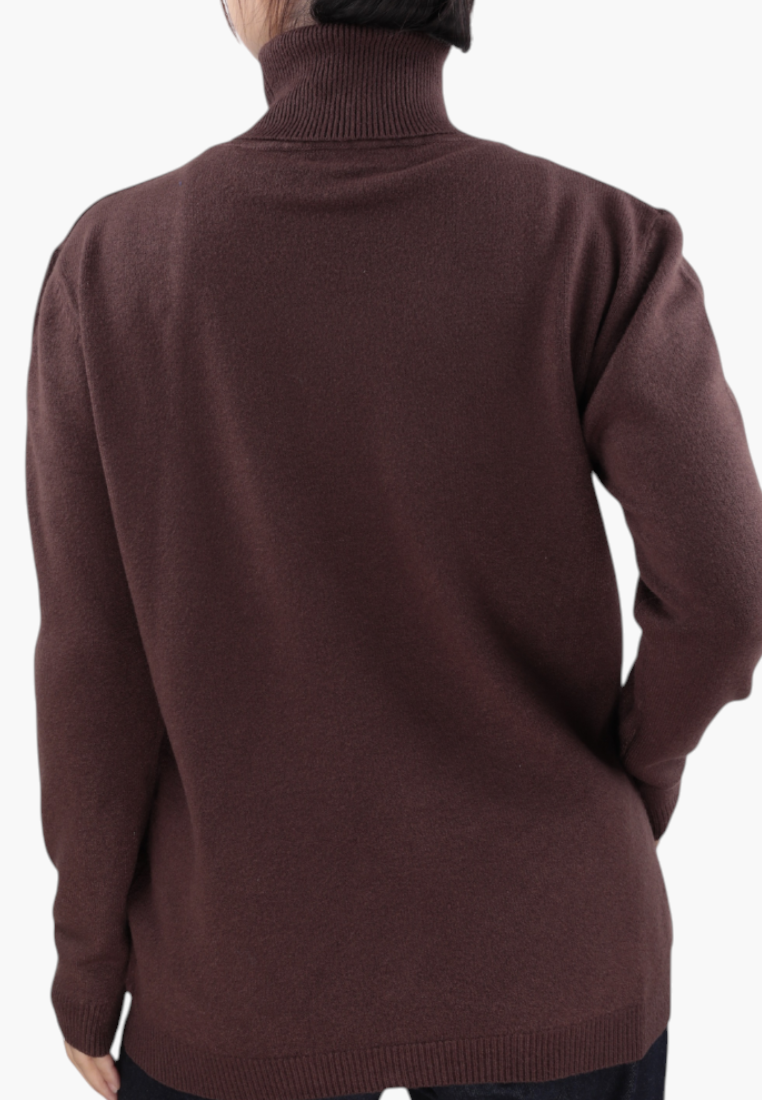 Falio women's brown wool sweater with a mock neck, shown from the back, featuring a classic fit and long sleeves.