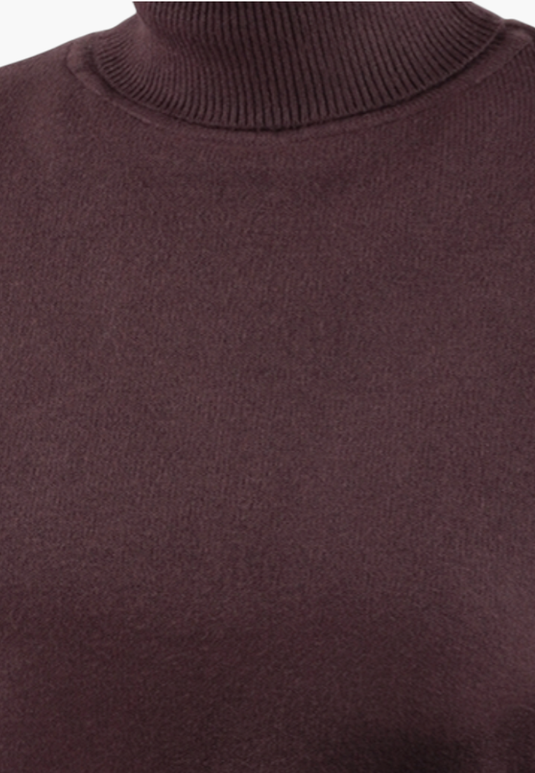Falio dark brown wool sweater with a ribbed mock neck collar, perfect for cold weather layering.