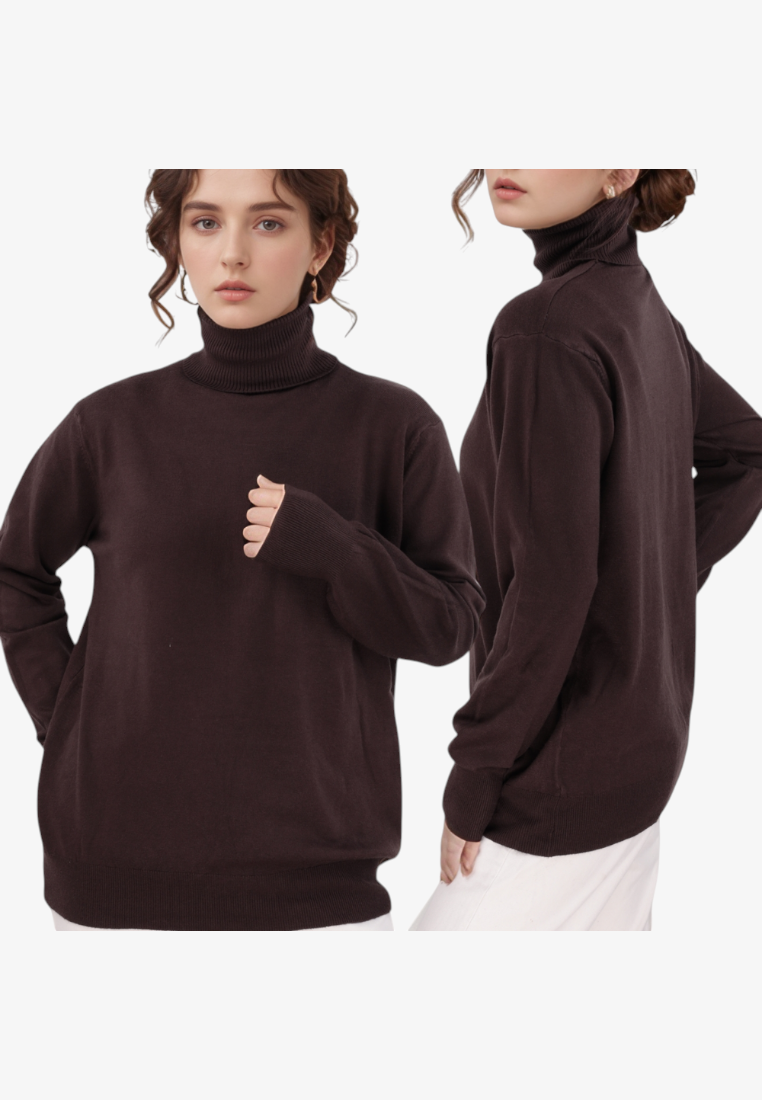 Brązowy sweter damski z długim rękawem, widok z przodu na białym tle.