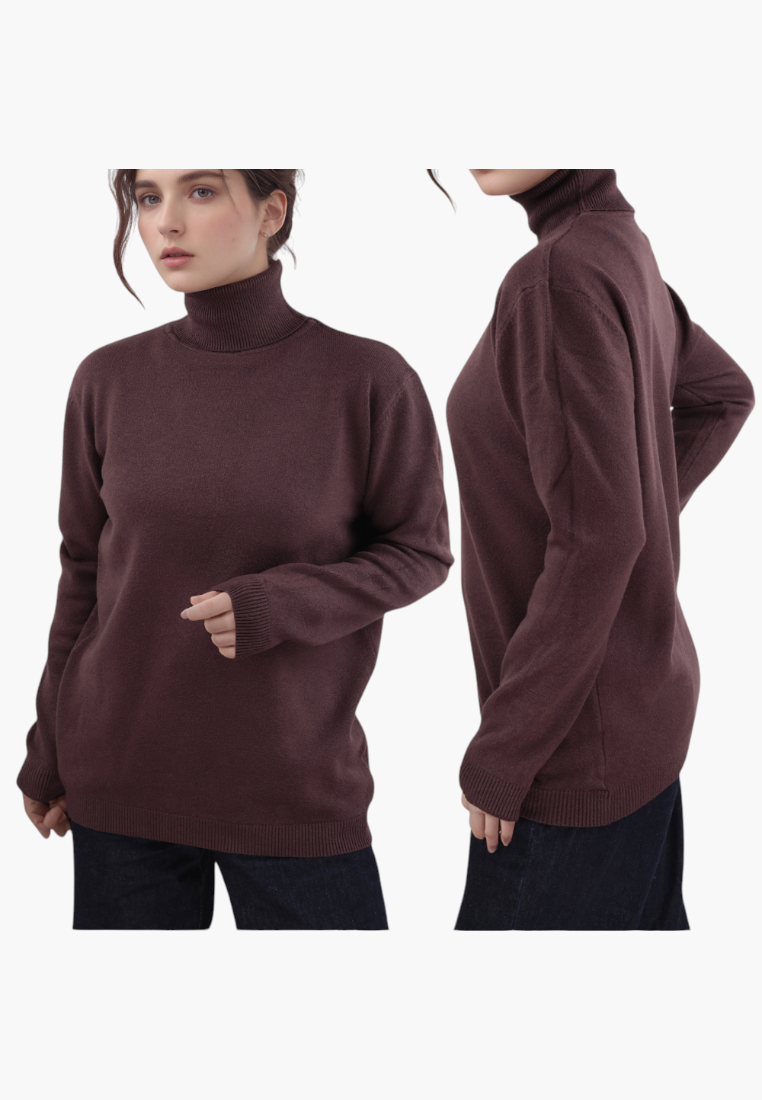 Lifestyle shot of a brązowy sweter z długimi rękawami i półgolfem na przezroczystym tle.
